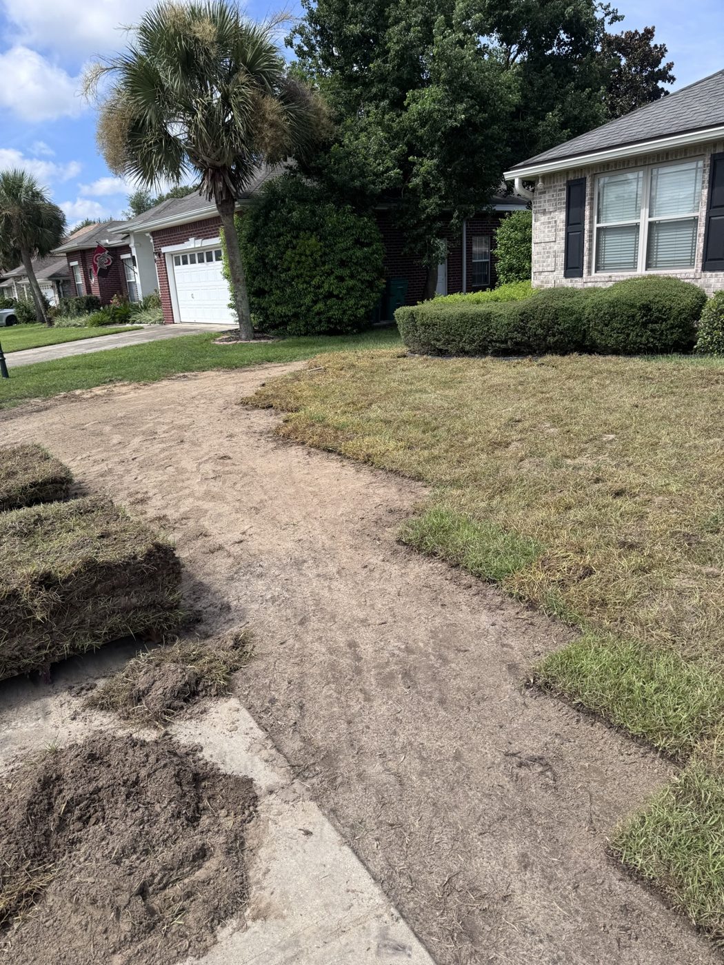 A yard with the old grass stripped to bare soil, a few rolls of sod waiting at the left, and a palm tree and house in the background.